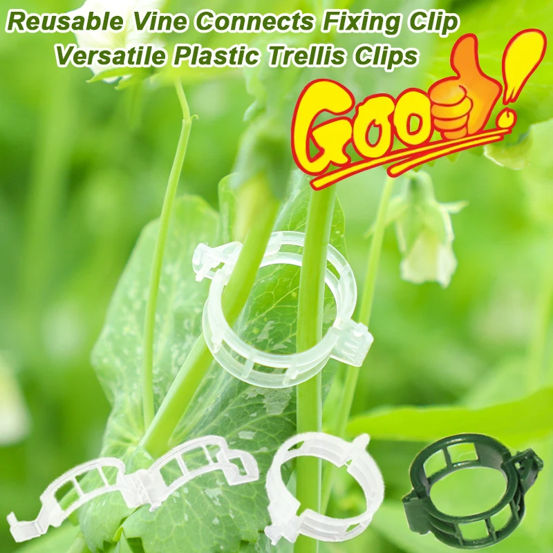 Vine Climbing Plastic - Dapat digunakan kembali penghubung anggur memperbaiki
