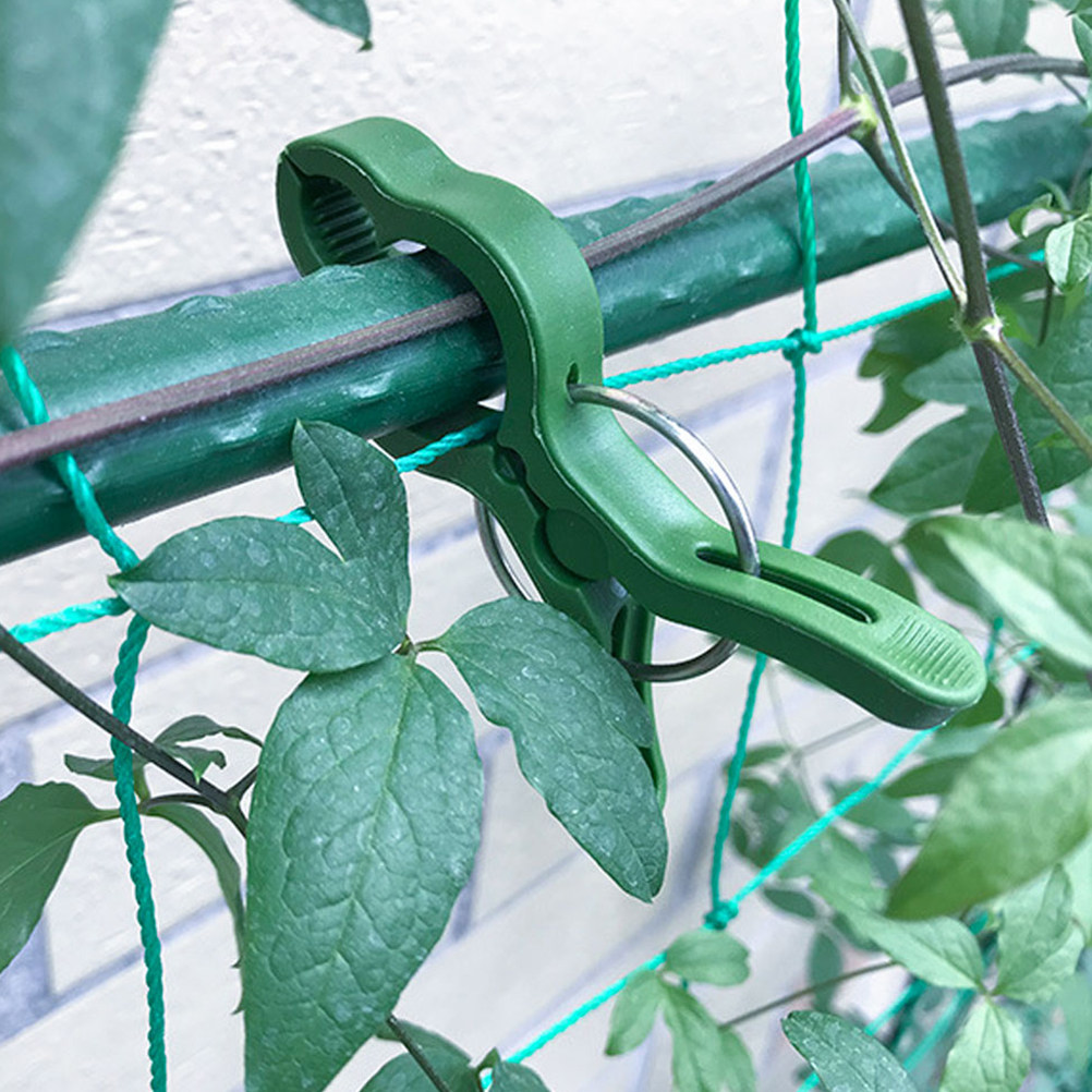 Vine Climbing Plastic - 60 Buah Klip Tanaman Taman, Klip
