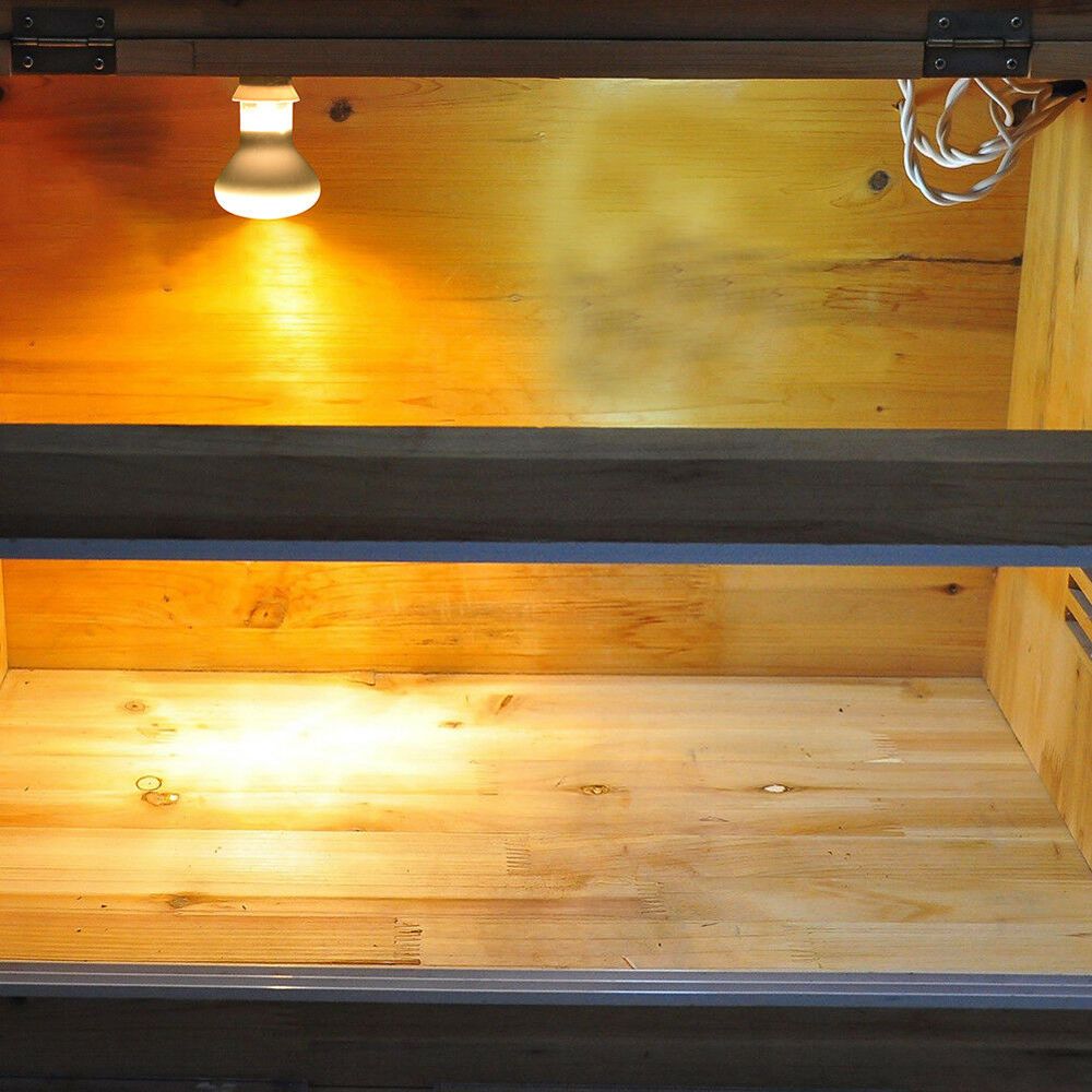 Lampu Pengontrol Suhu Kadal, L - Basking Bulb Halogen ulasan dan harga