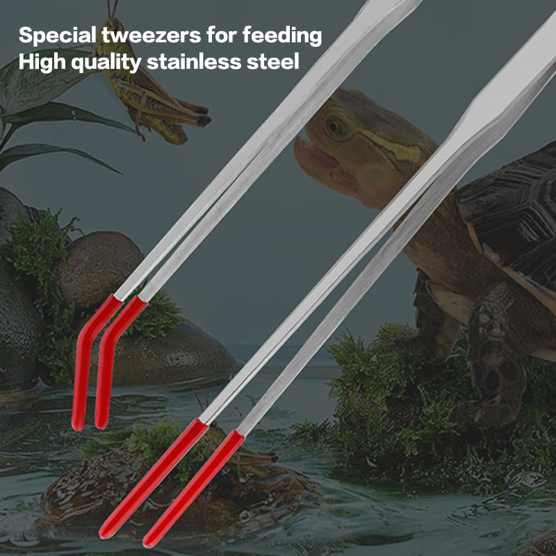 Penjepit Makanan Reptil dari B - Feeding Tong Stainless ulasan dan harga