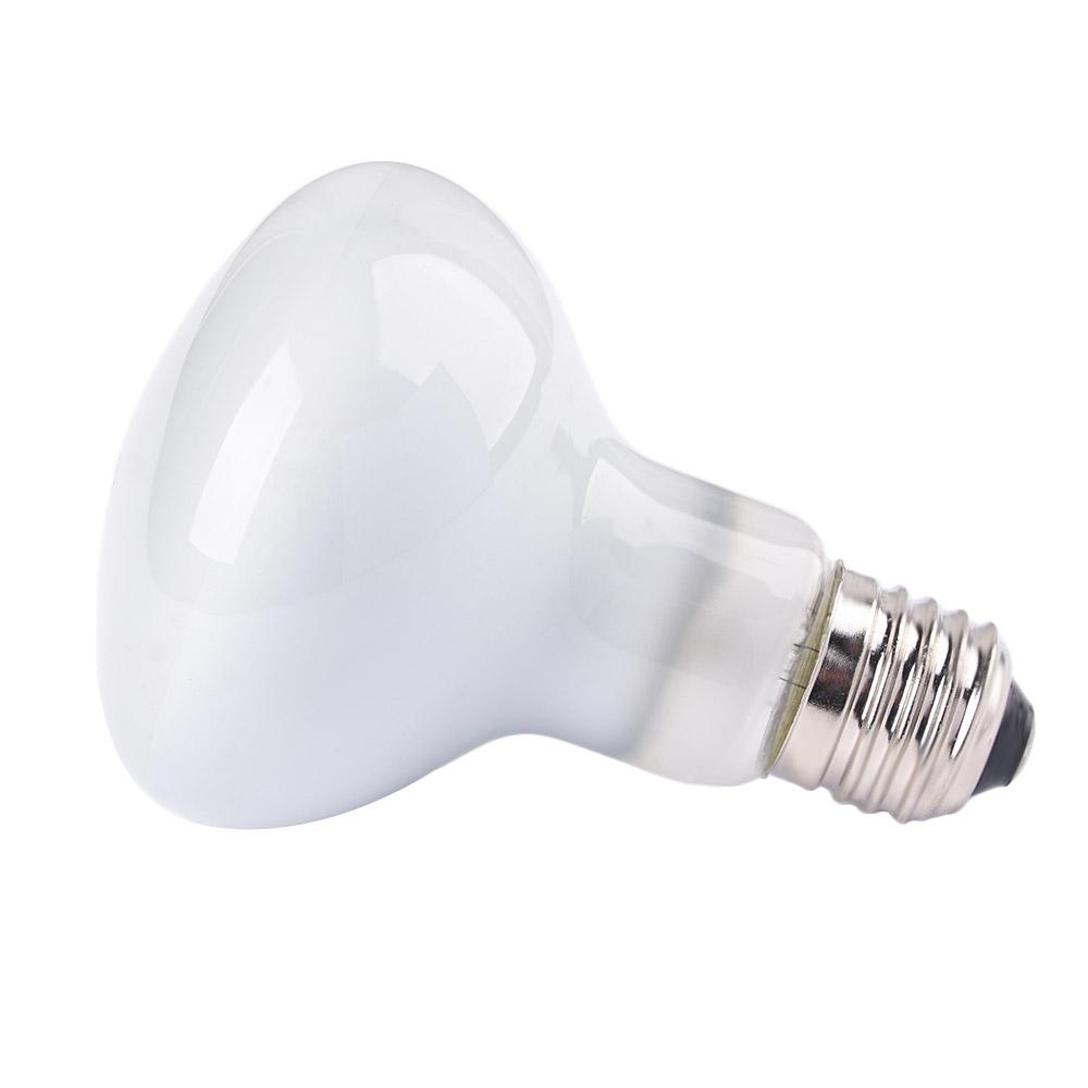 Lampu Penghangat Pengontrol Su - Basking Bulb Halogen ulasan dan harga