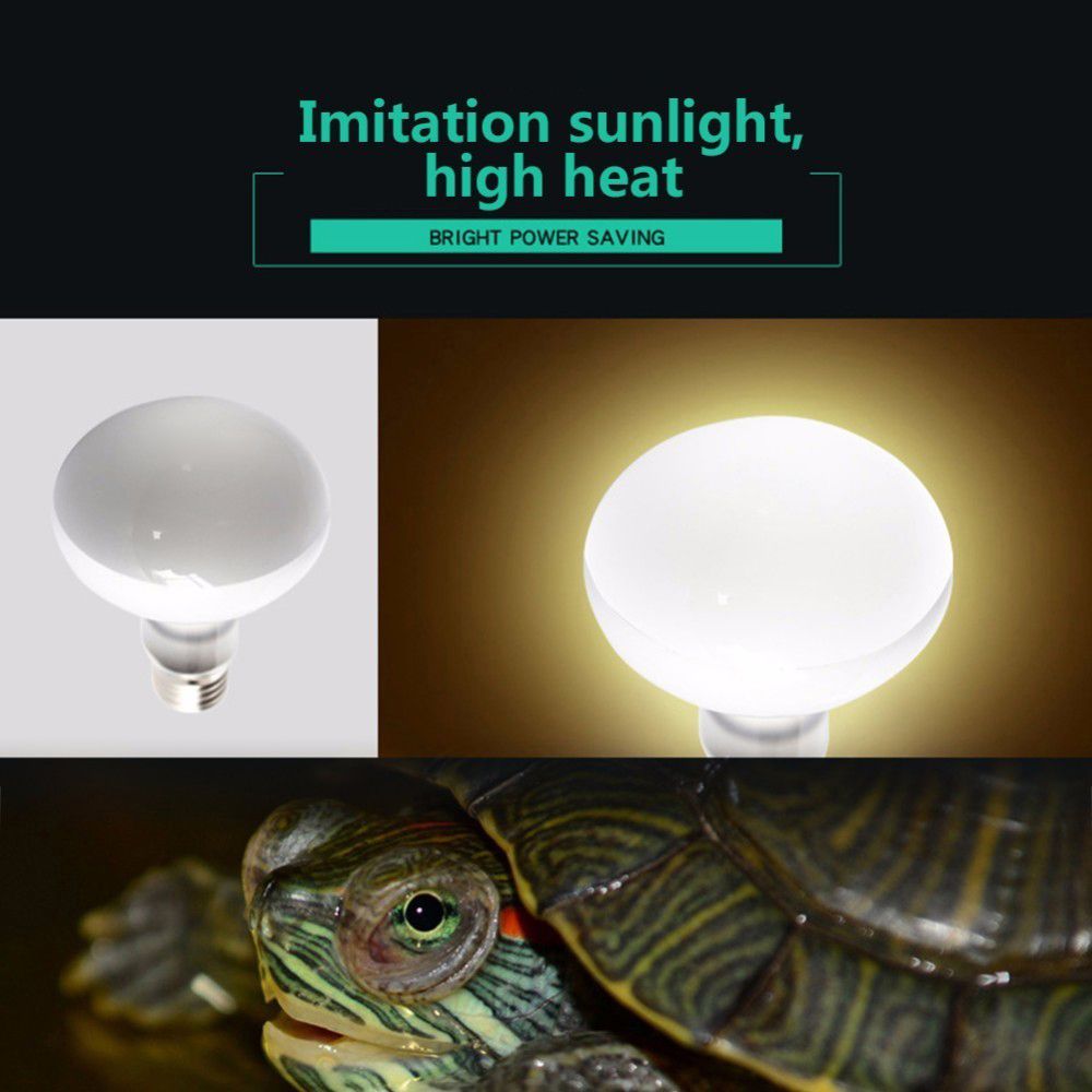 Lampu Penghangat Pengontrol Su - Basking Bulb Halogen ulasan dan harga