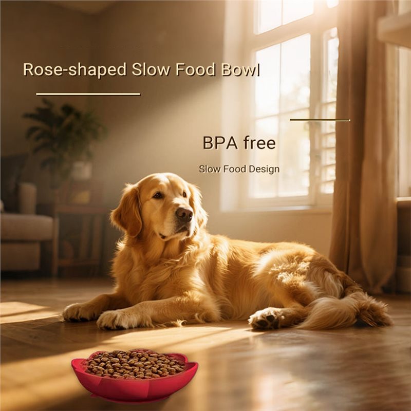 A11E-Pet Supplies Mangkuk Maka - Royal Canin Food Medium ulasan dan harga