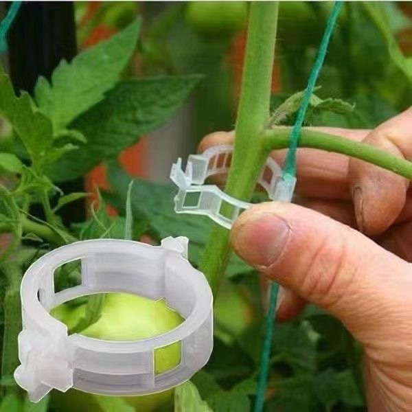 500Pcs Klip Penyangga Tanaman  - Vine Climbing Plastic ulasan dan harga
