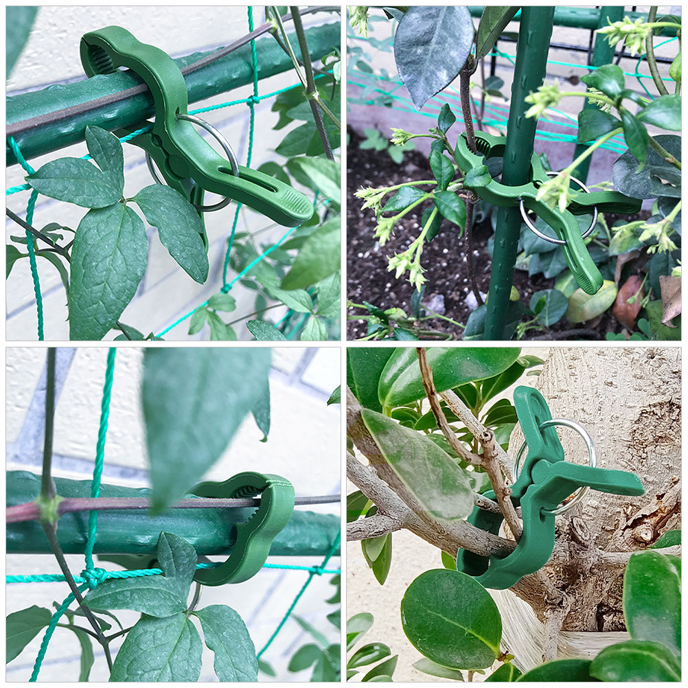 60 Buah Klip Tanaman Taman, Kl - Vine Climbing Plastic ulasan dan harga