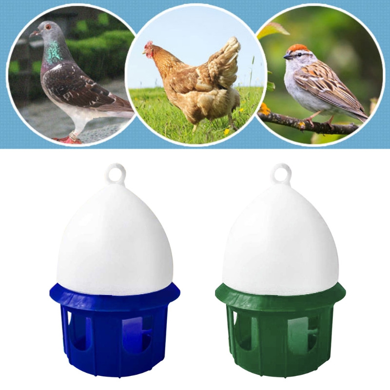 untuk Dispenser Air Tempat Min - Vitamin D3 Reptile ulasan dan harga