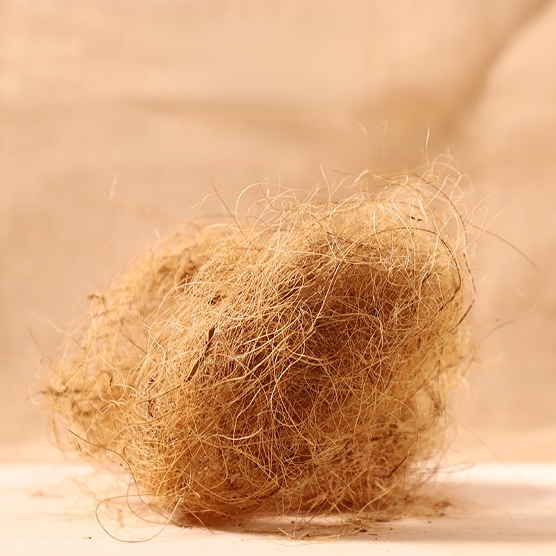100G Substrat Tempat Tidur Lon - Substrate Coconut Fiber ulasan dan harga