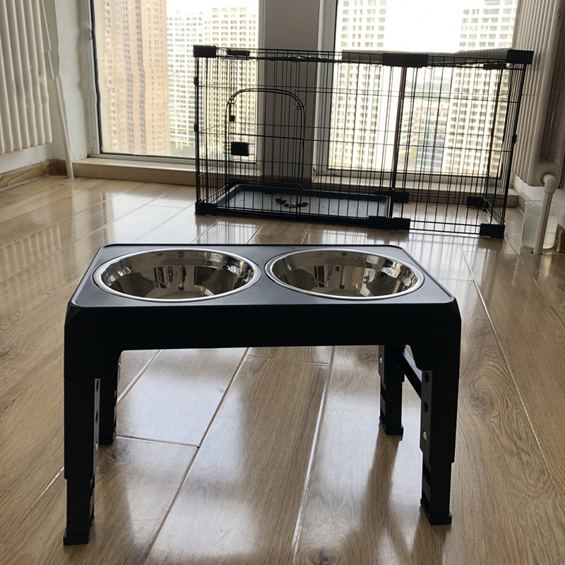Mangkuk pemberi makan anjing t - Royal Canin Food Medium ulasan dan harga