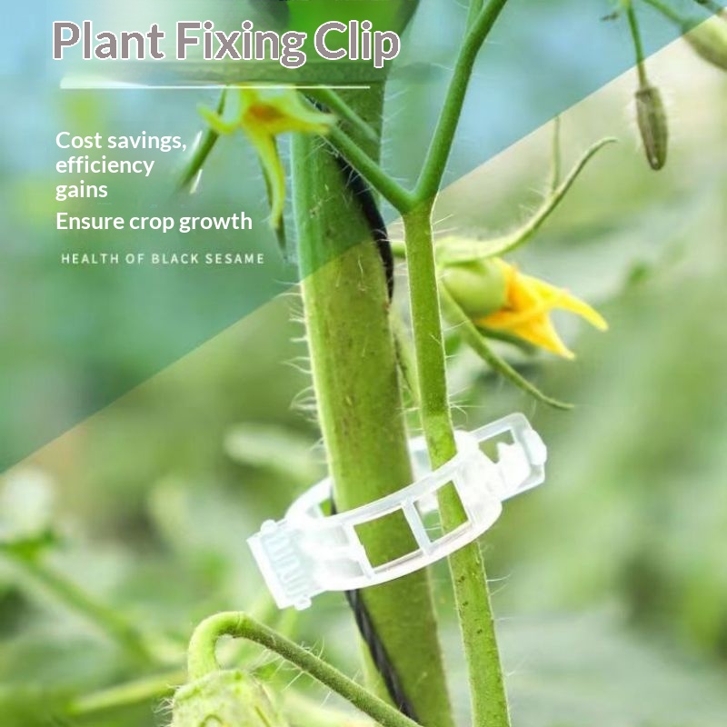 Klip Penyangga Tanaman Plastik - Vine Climbing Plastic ulasan dan harga