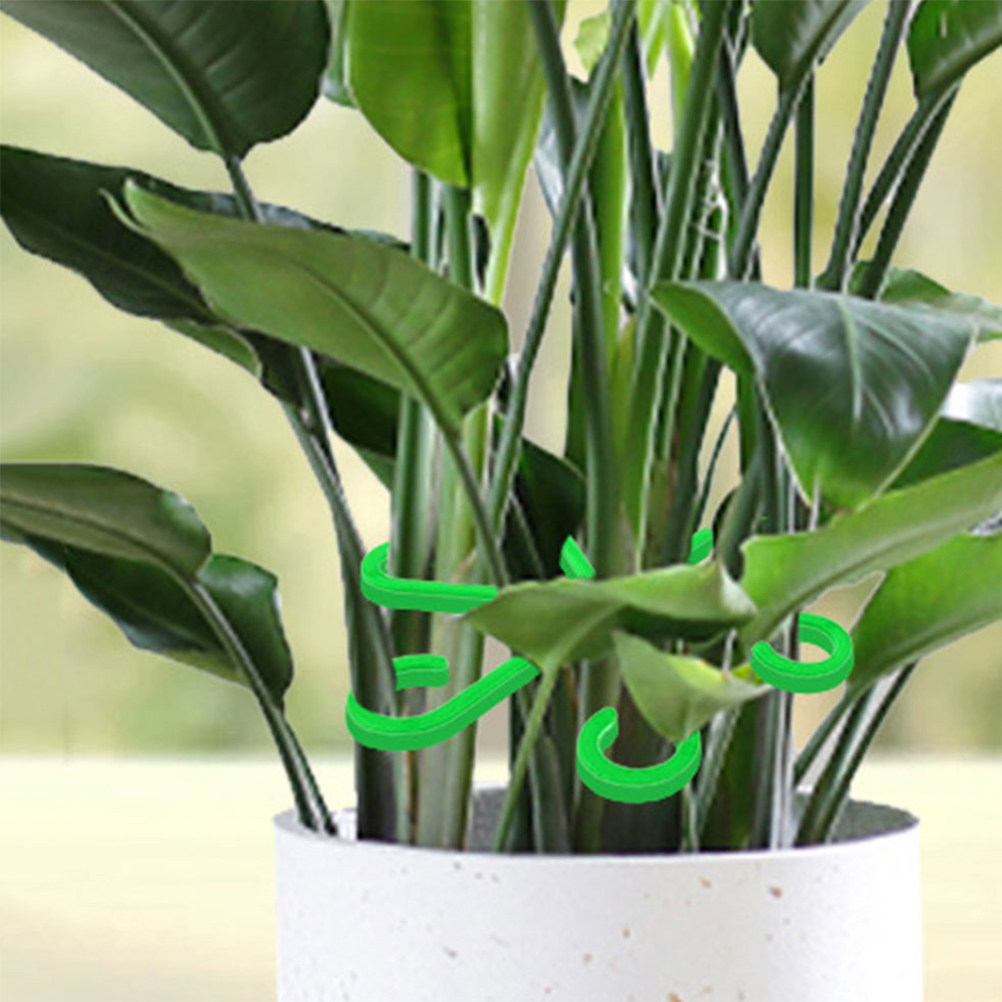 12 Buah Klip Penyangga Tanaman - Vine Climbing Plastic ulasan dan harga