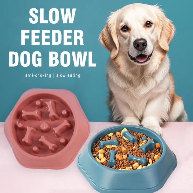 1Pc Mangkuk Makan Anjing Slow  - Royal Canin Food Medium ulasan dan harga